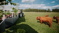 Urbaaneja, vihreitä elämyksiä