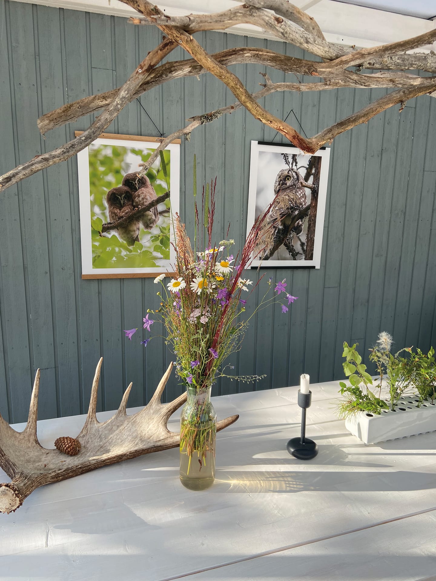 Shared table for the evening