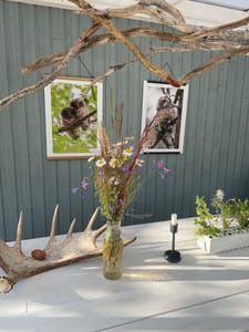 Shared table for the evening