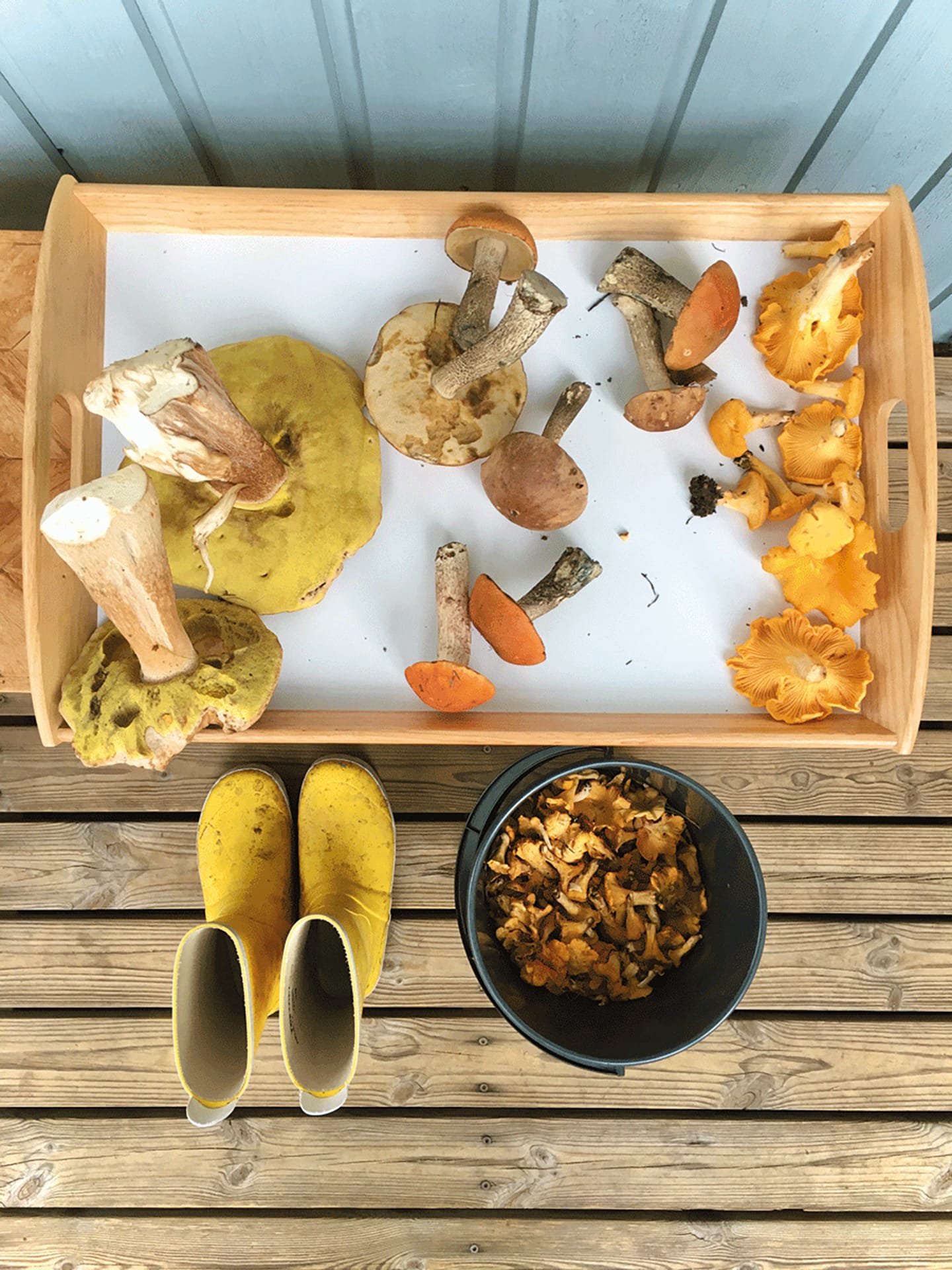 Foraging is part of our cuisine Foraging is part of our cuisine