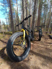 Ohjattu polkupyöräretki