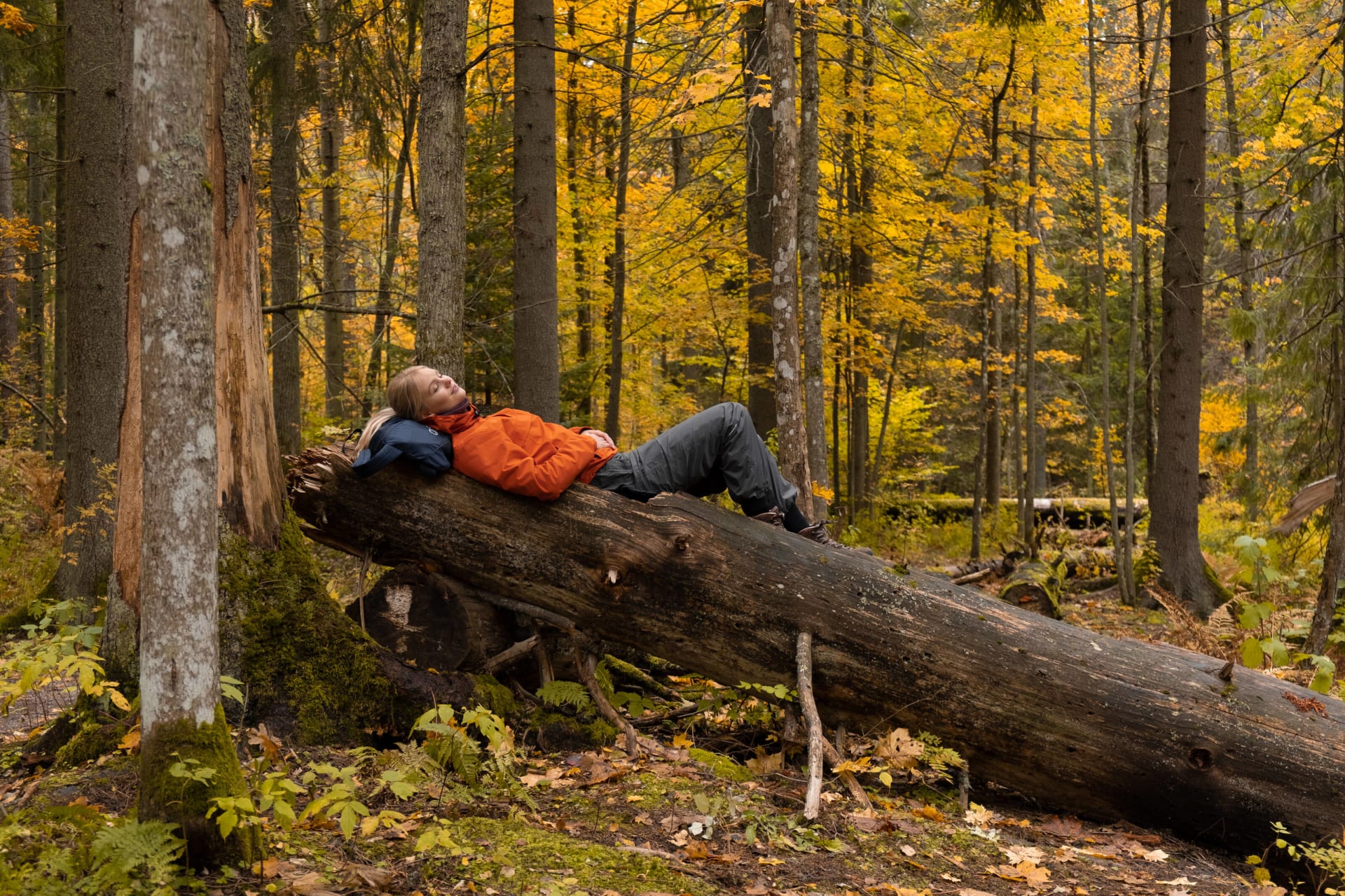 Woman lying on on trunk in autumn forest
