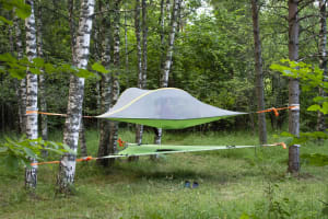 Tentsile accomodation