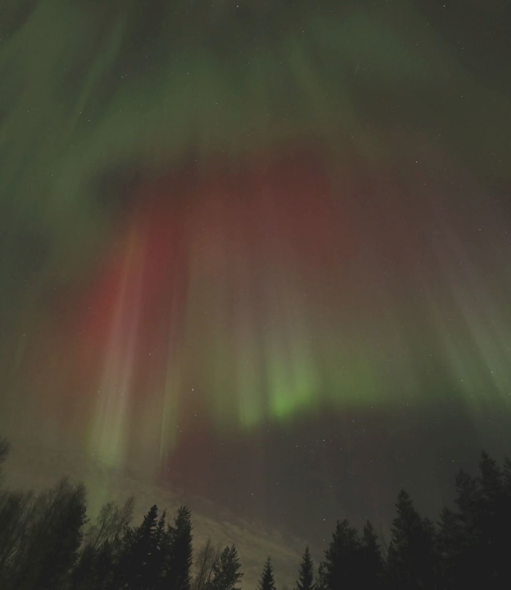 The Northern Lights can be very colorful, featuring rare bright red alongside yellow-green hues at Villa Cone Beach.