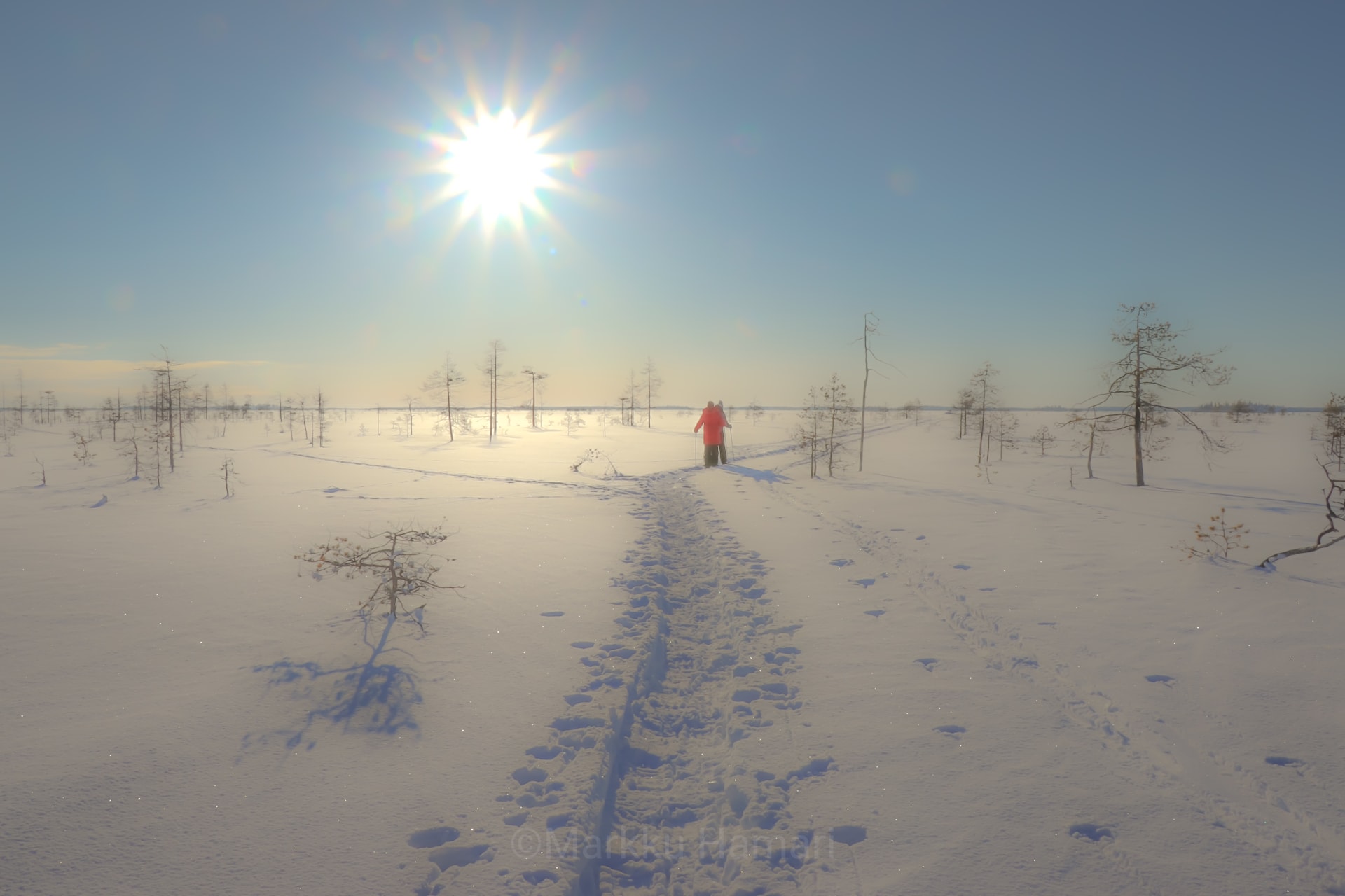 Sea Lapland nature