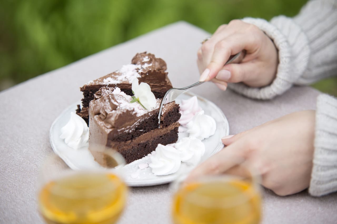 Chocolate cake at alpaca picnic.