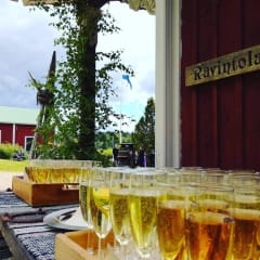 Welcoming drinks outdoor