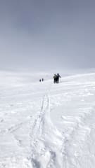 7 keroa kavereiden kesken Pallas