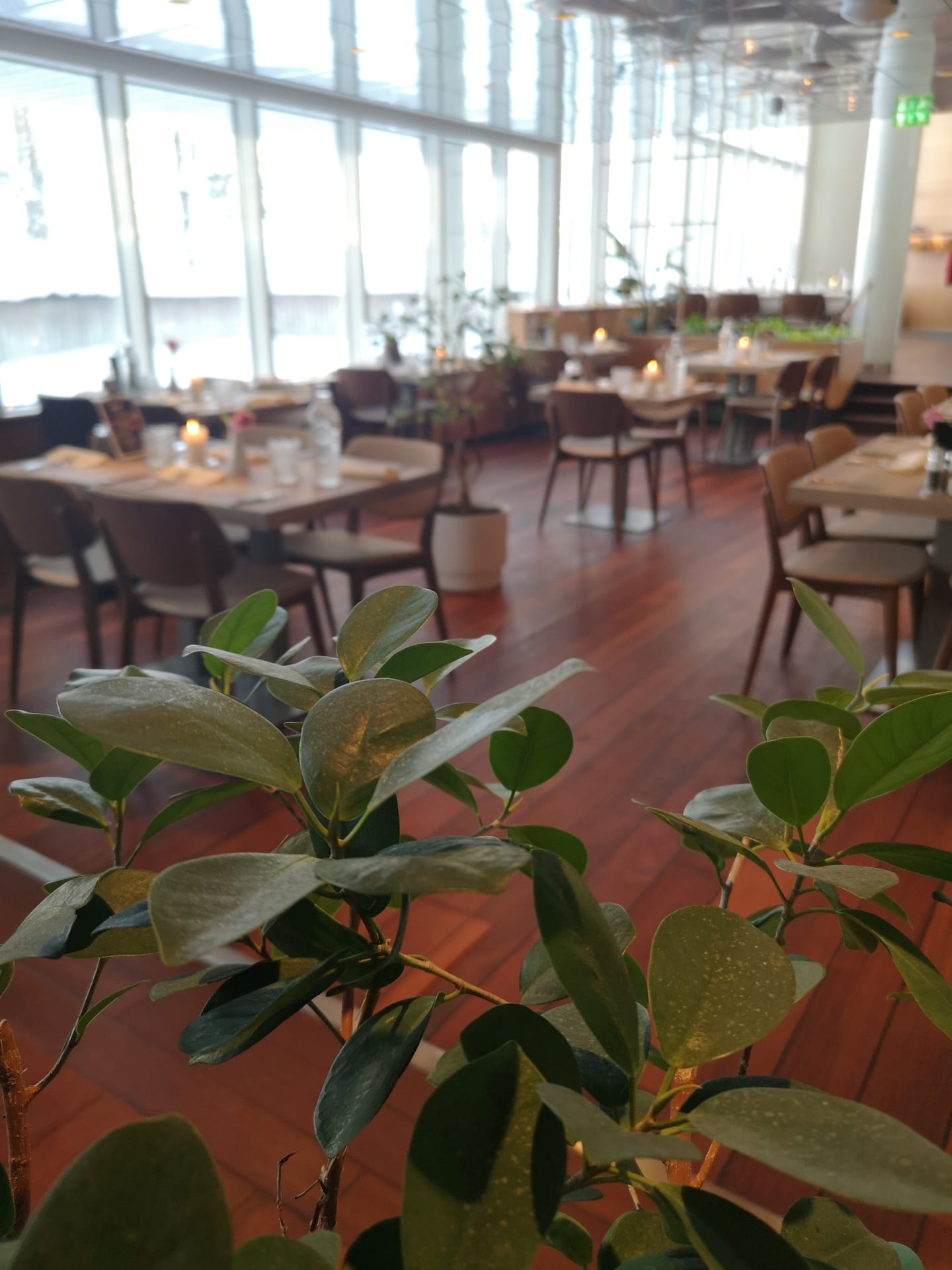 Venues for meetings, seminars and celebrations at Optima