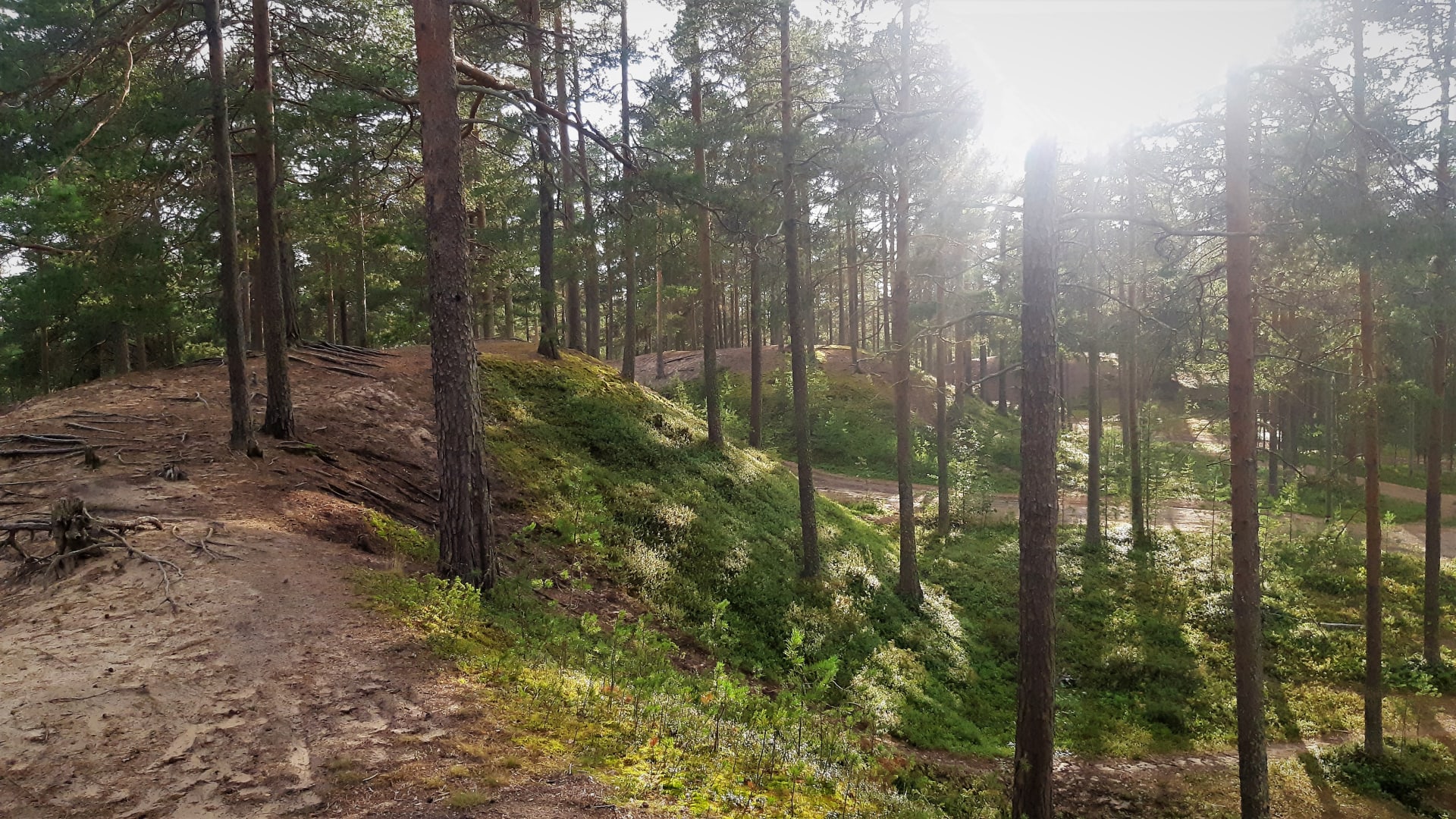 Hills of Virpiniemi sport tracks