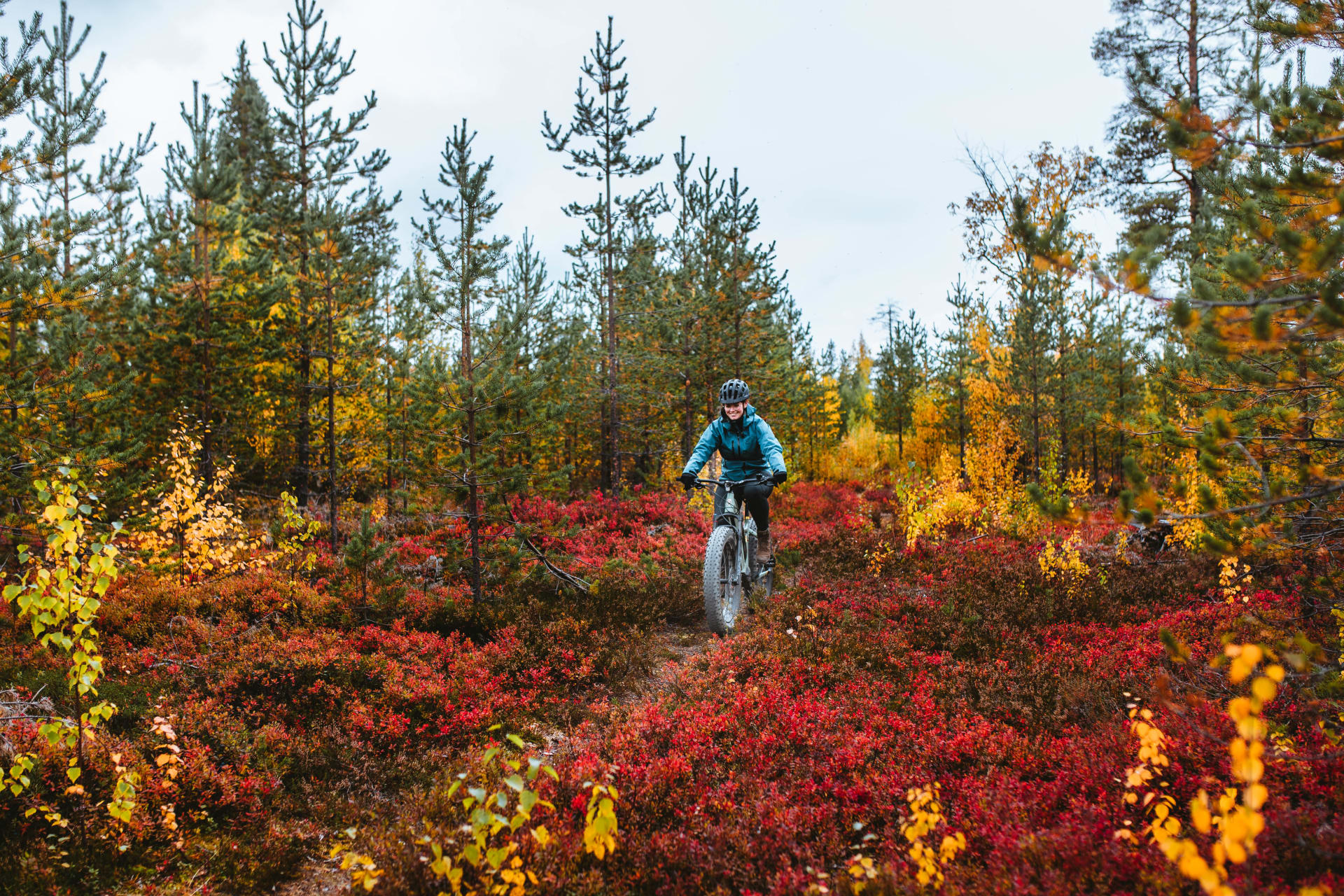 Autumn foliage and eFatBike