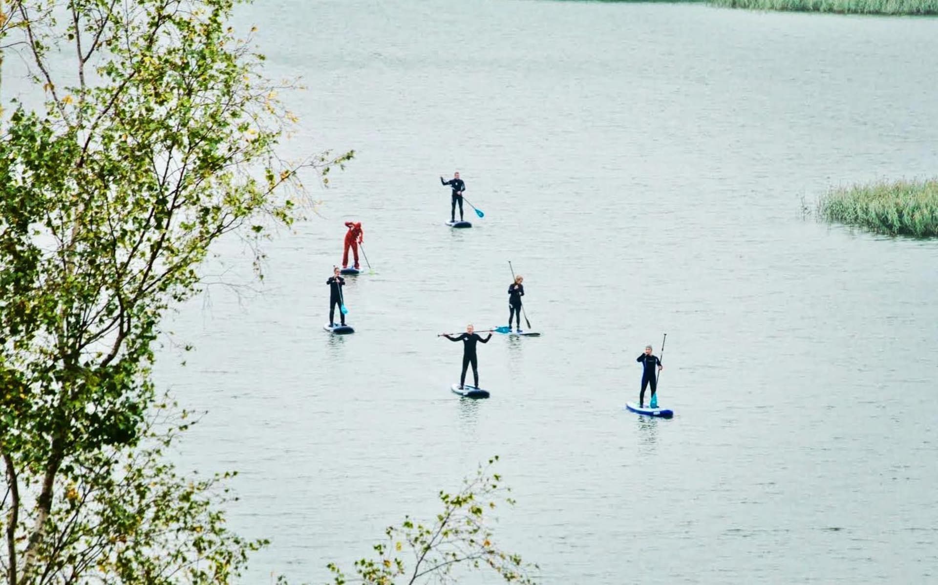 Sup-lautailua Sup-lautailua