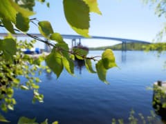 The Puumala Archipelago route has many beautiful bridges on the way.