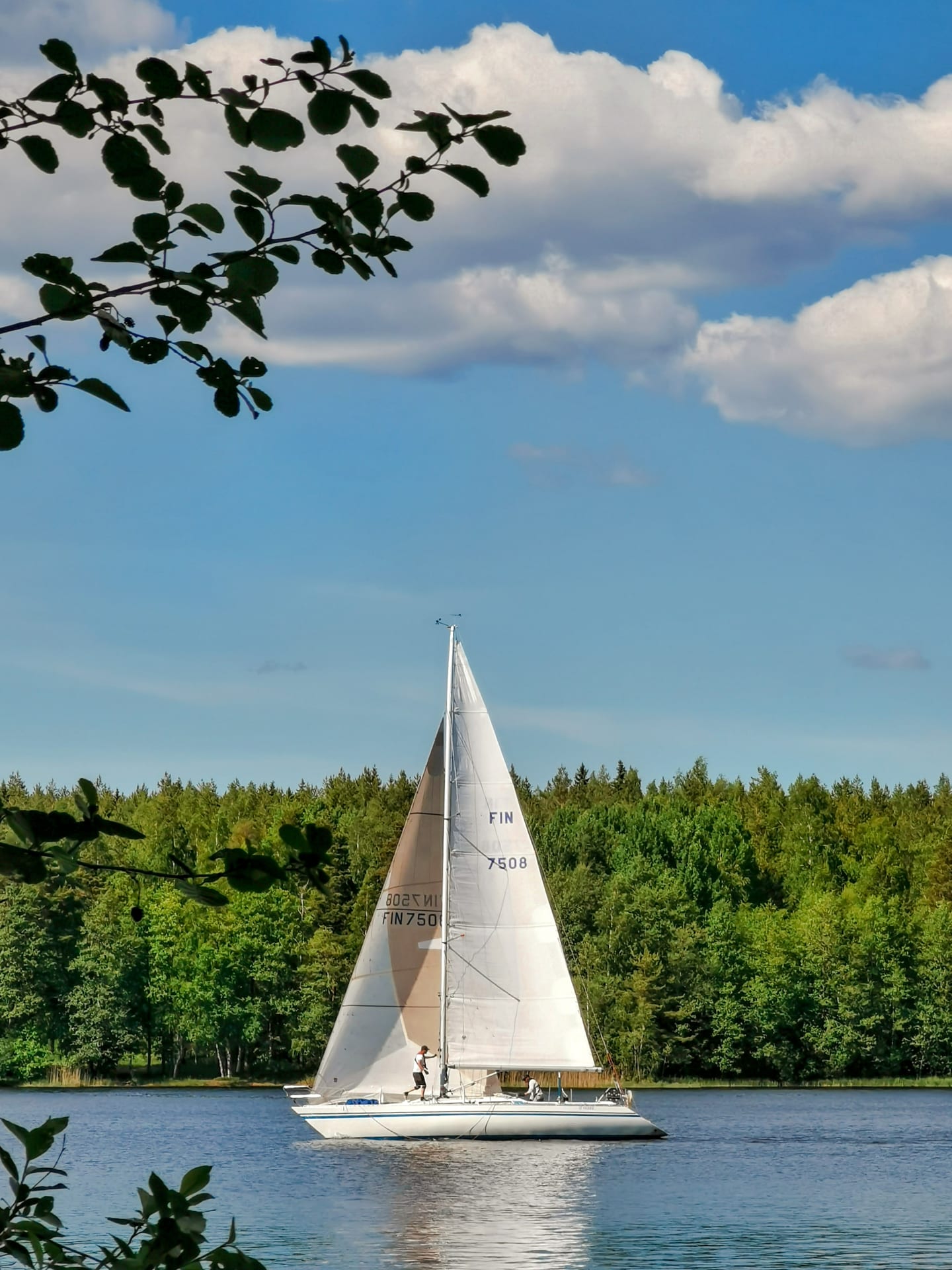 Purjevene järvellä, metsä taustalla