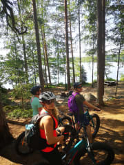 Lintuniemie fireplace