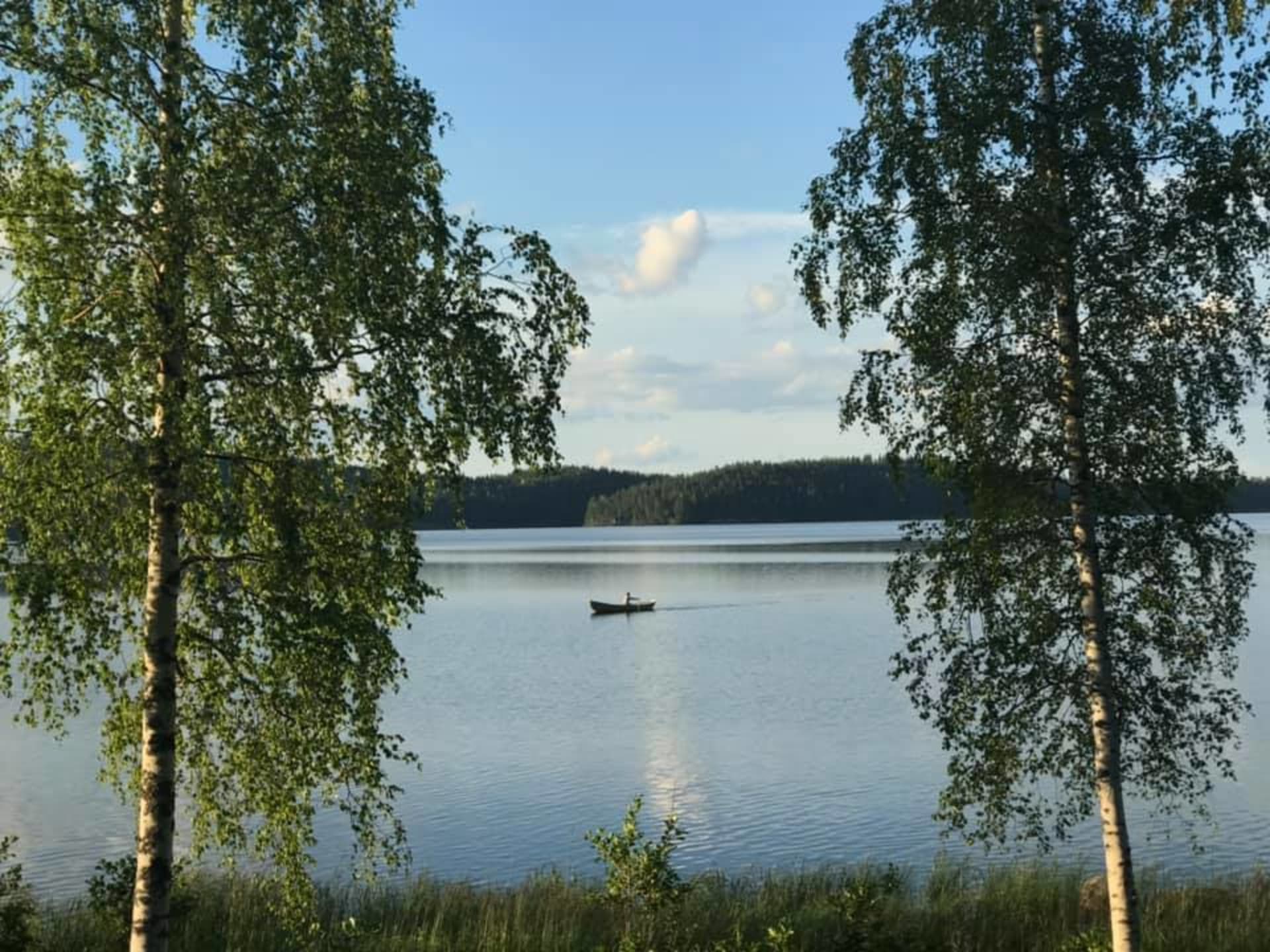 Loikansaari view to the lake 