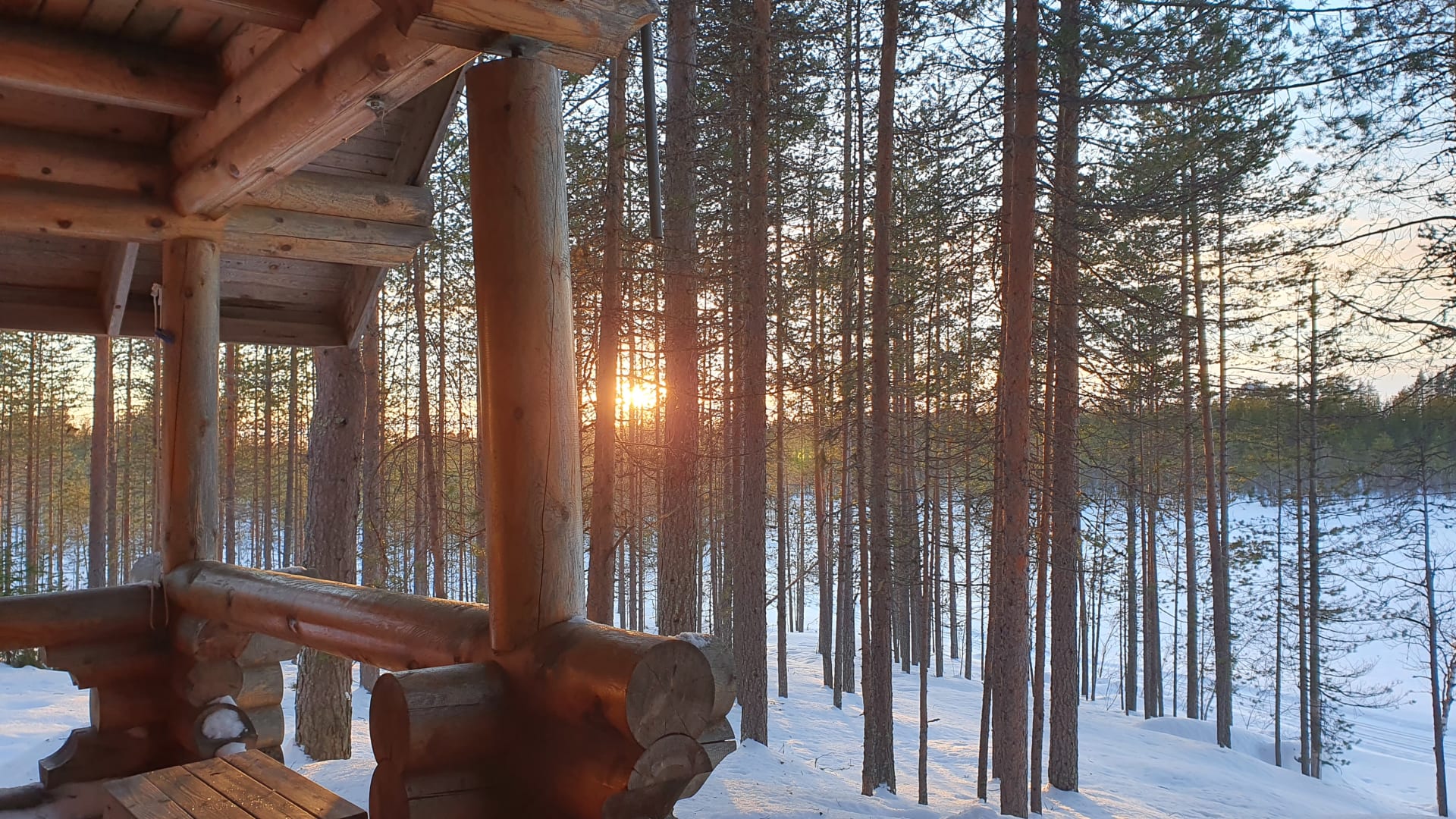 Winter sun