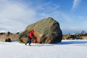 Punatakkinen potkukelkkailija meren jäällä. Taustalla näkyy suuri siirtolohkare ja pienempiä kiviä. Taivas on sininen, on aurinkoinen talvipäivä. Kuva: Timo Nieminen.
