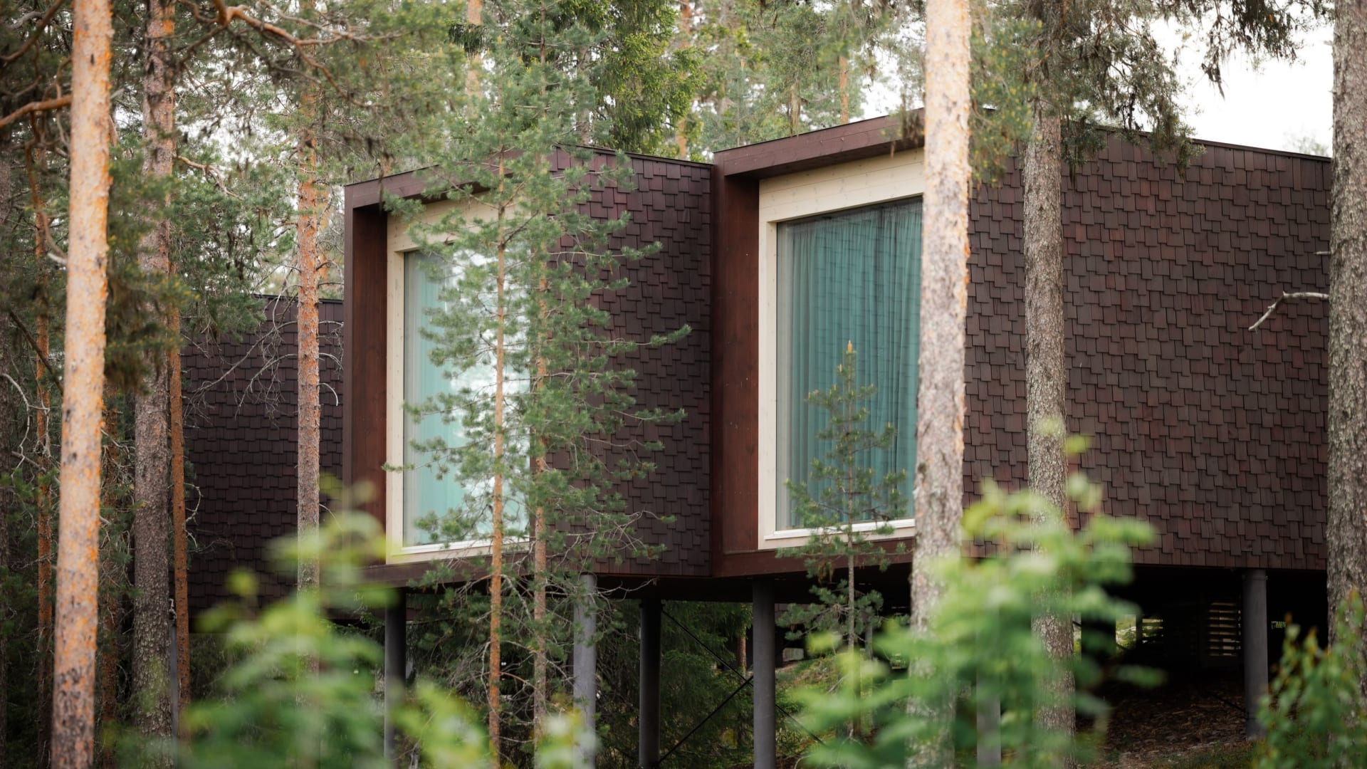 Arctic TreeHouse Hotel