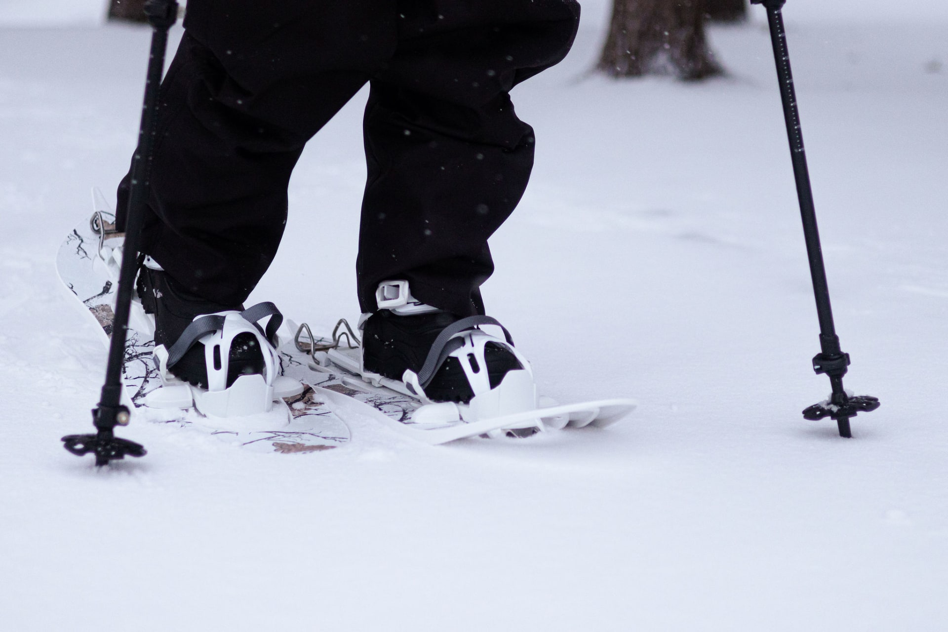 snowshoeing in winter time