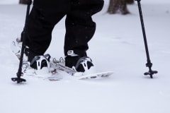 snowshoeing in winter time