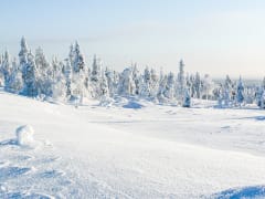 Snowmobile Safari in the Nature - Rovaniemi