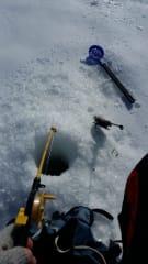 Moottorikelkka rekiretki