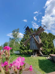 Old wooden mill