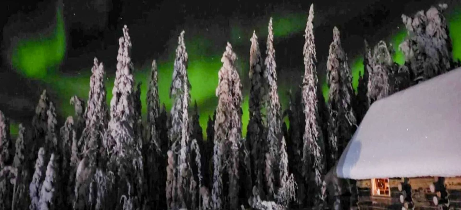 Kotatieva under the Northern Lights