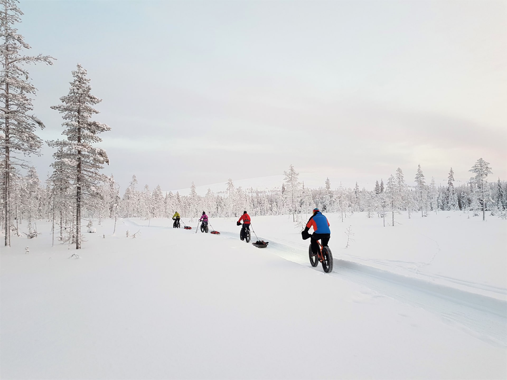 E-bikes to the national park