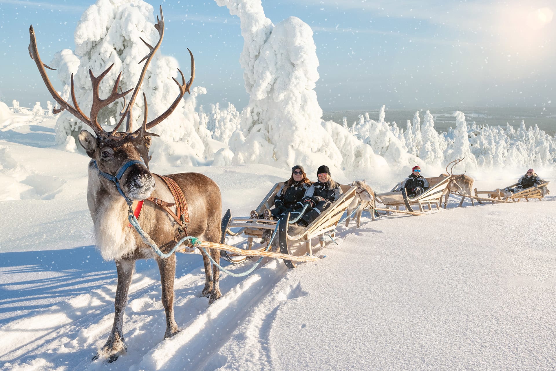 Reindeer safari | Visit Finland