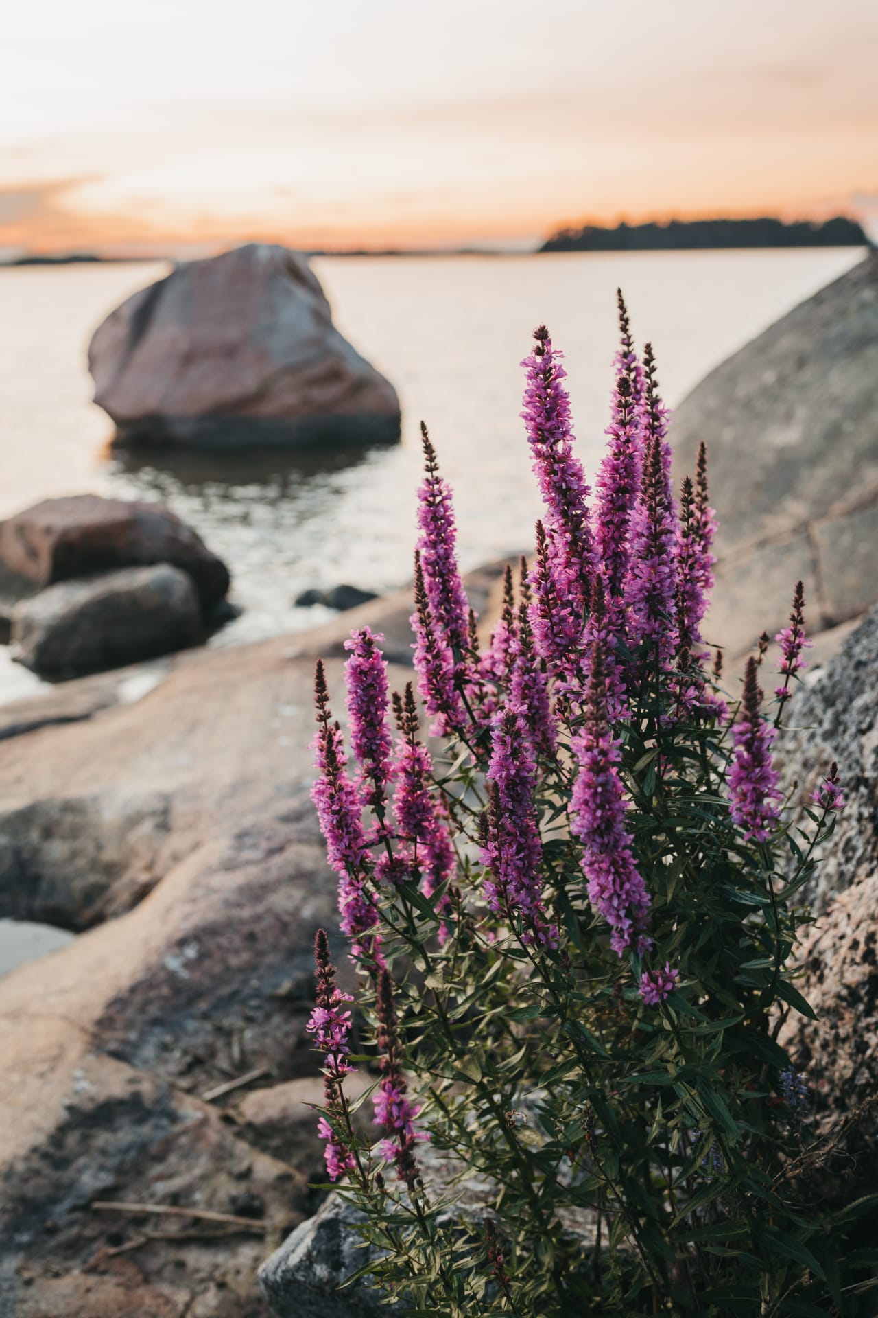 Porvoo archipelago