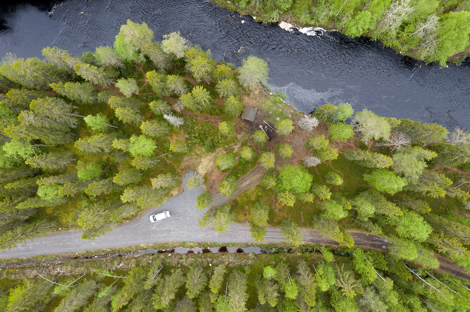 Drone photo of a forest and a stream.