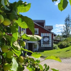 Pauliina Rundgren HandiCrafts Shop & Studio Mikkelissä