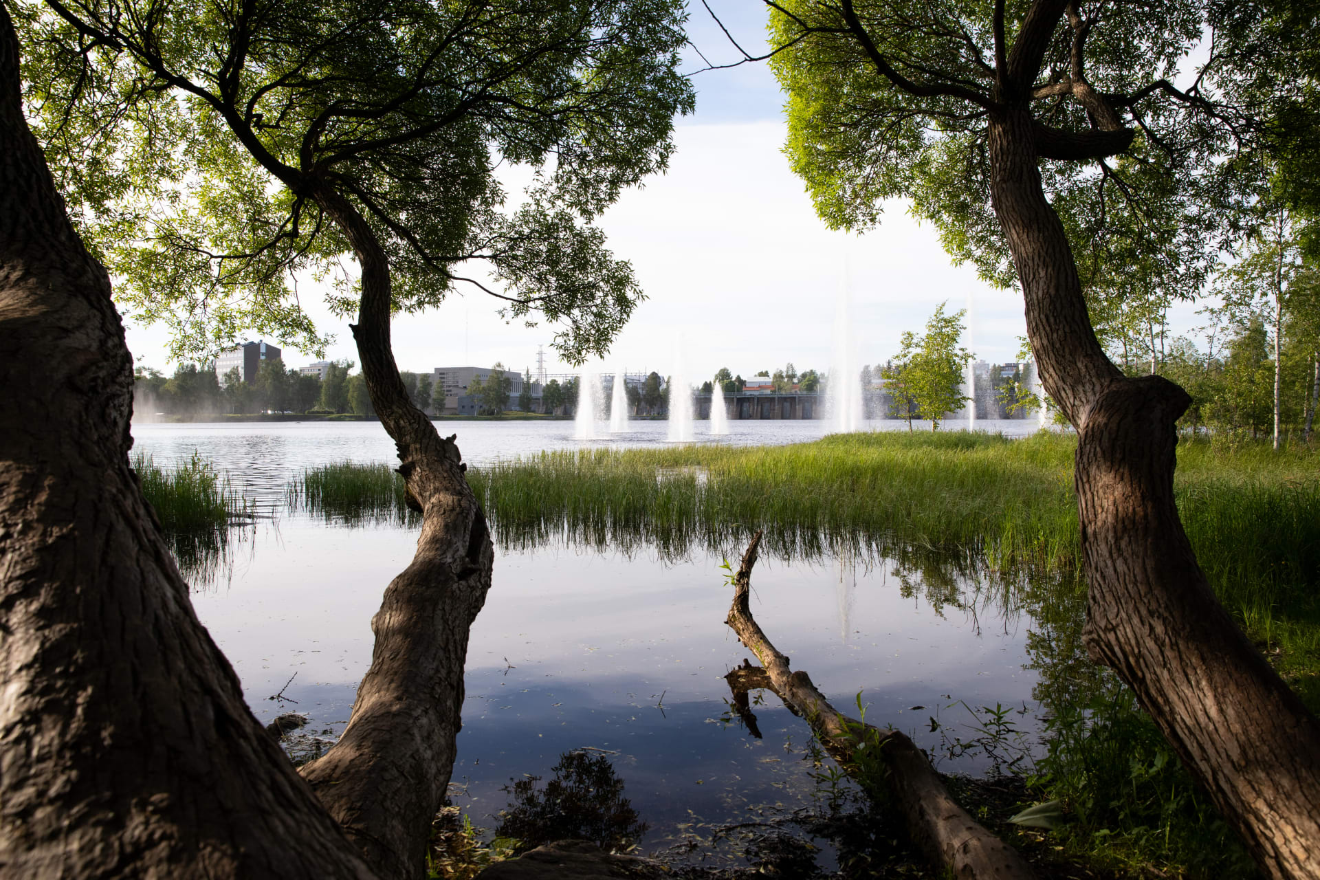 View from the Hupisaaret City Park.