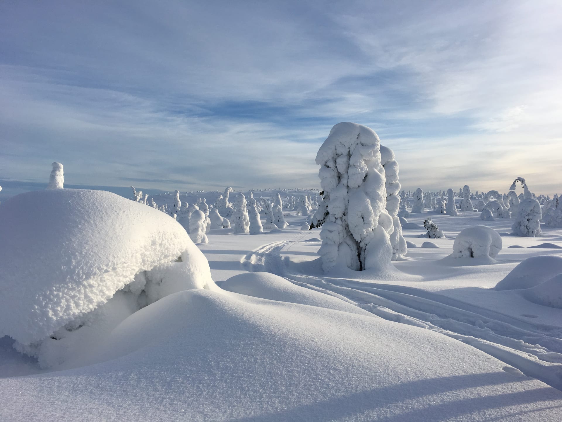 Experience Snowshoeing in Riisitunturi National Park, Finland