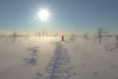 Snowshoe tour Sea Lapland