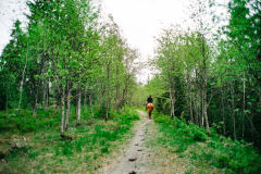 Kirkkoharju exercise trail