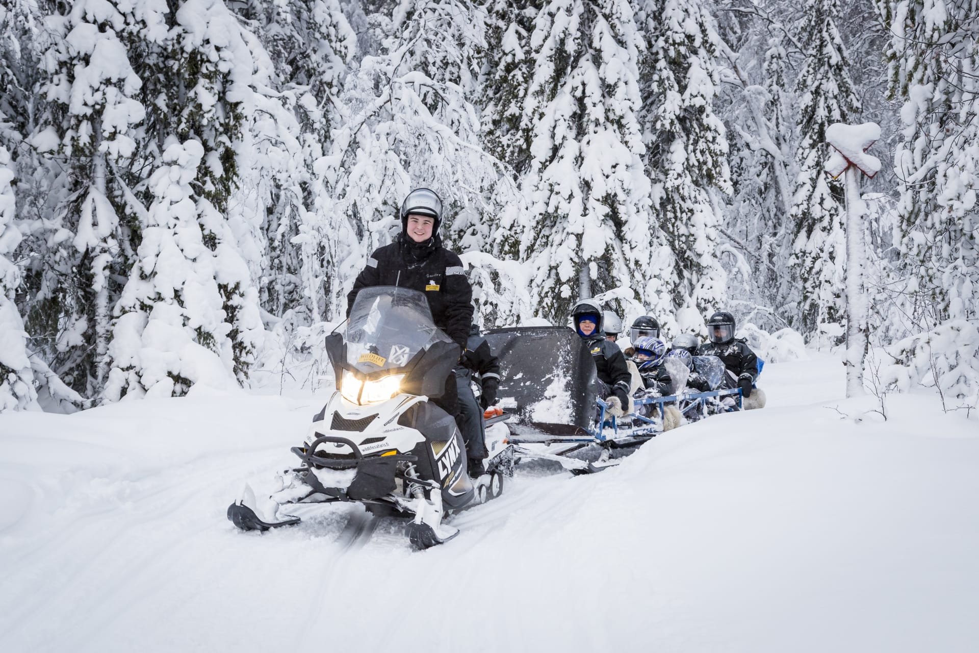 Snowmobile safari driving in the forest