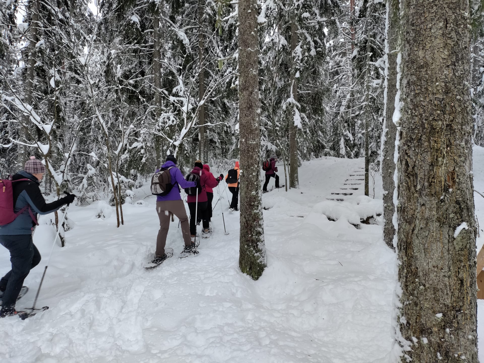 Snowshoeing in Kotkatharju Outdoor Recreation Area, Joroinen Visit