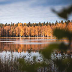 Niihaman luontopolku