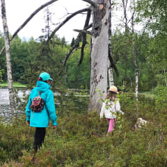 Pappilanniemen ulkoilureitti