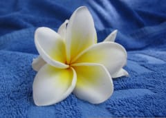 Hellivä Mustikka-kasvohoito