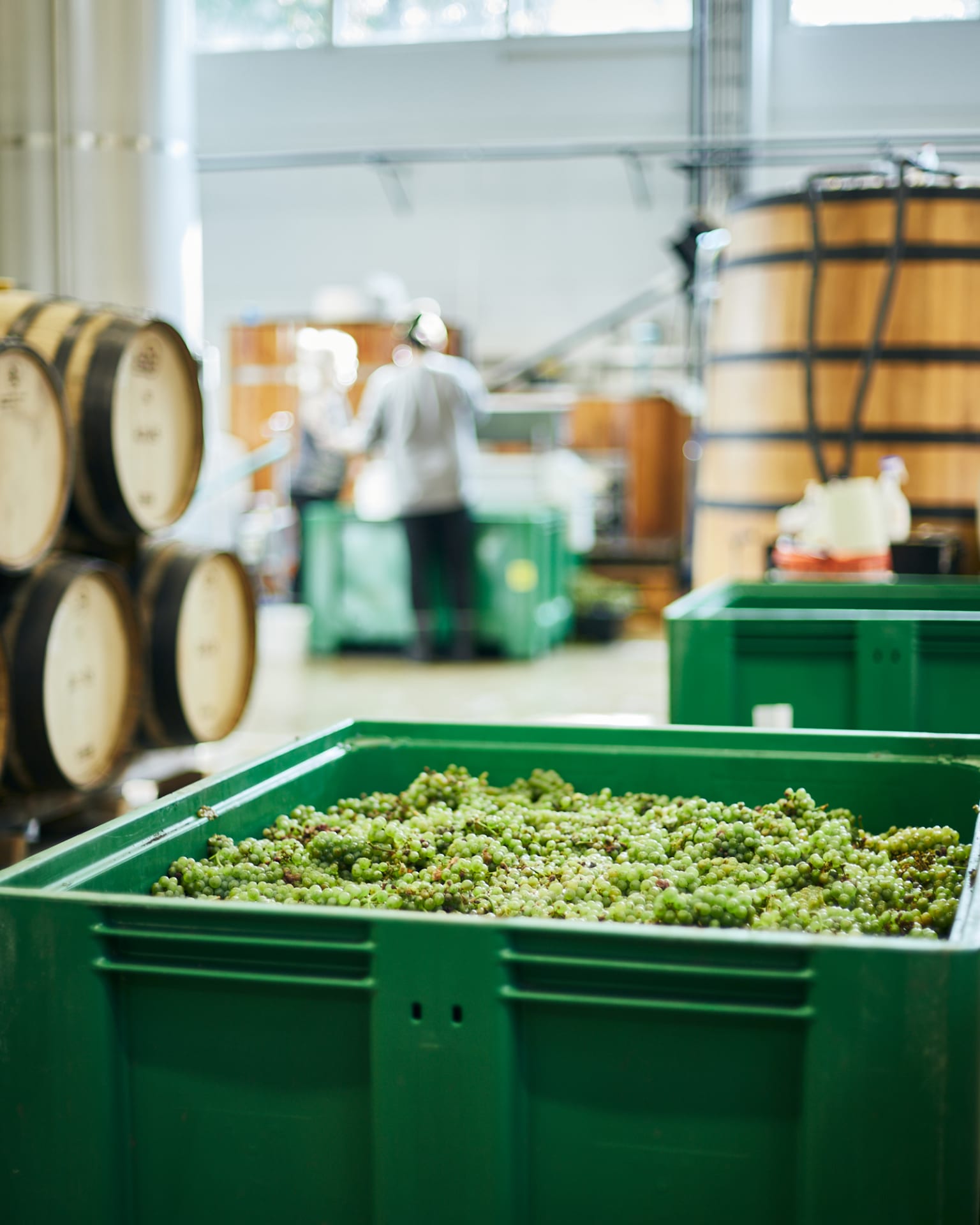 Wine production