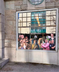 Kulttuurimyymälä Aplodi