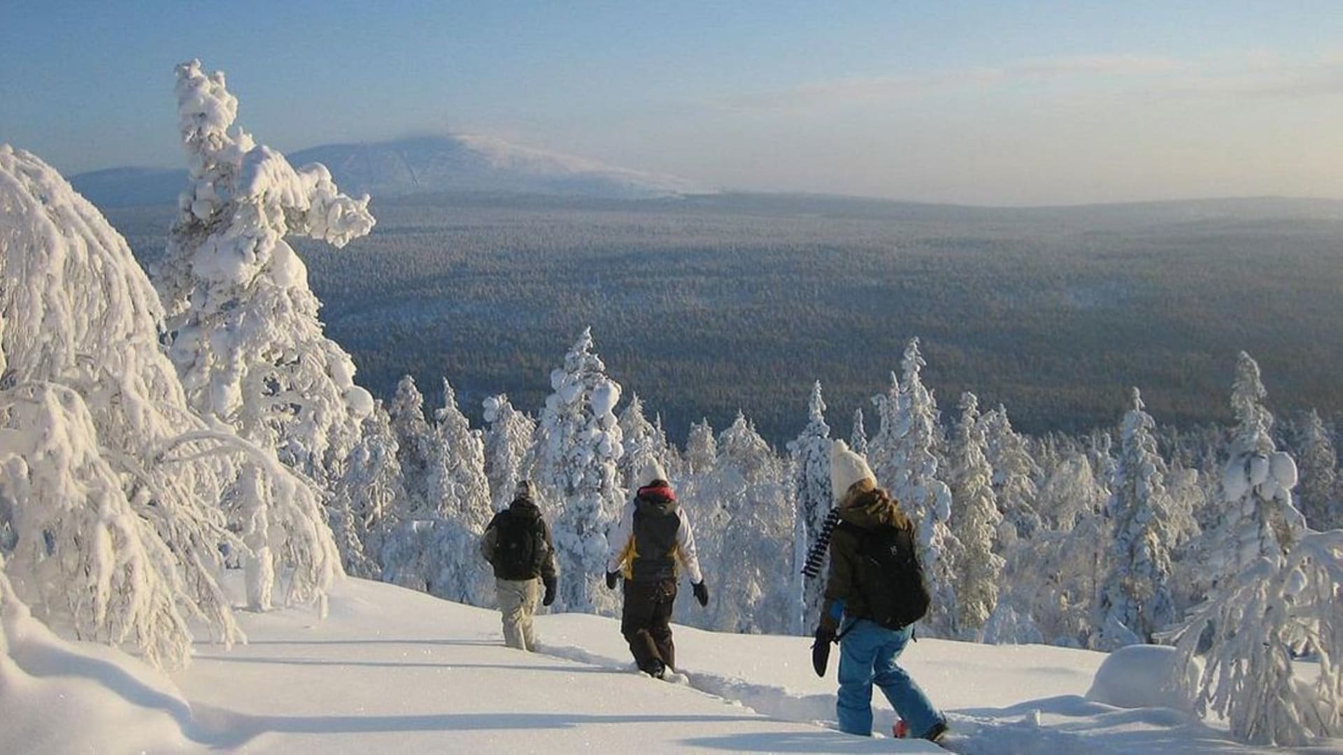 Highlights Of Rovaniemi Day Tour B | Visit Finland