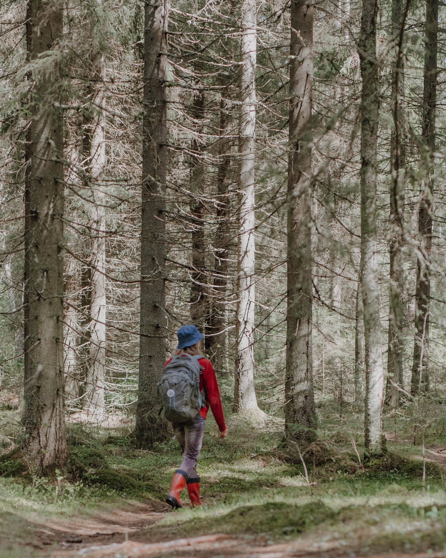 Nainen kävelee Tiitiäisen metsässä.