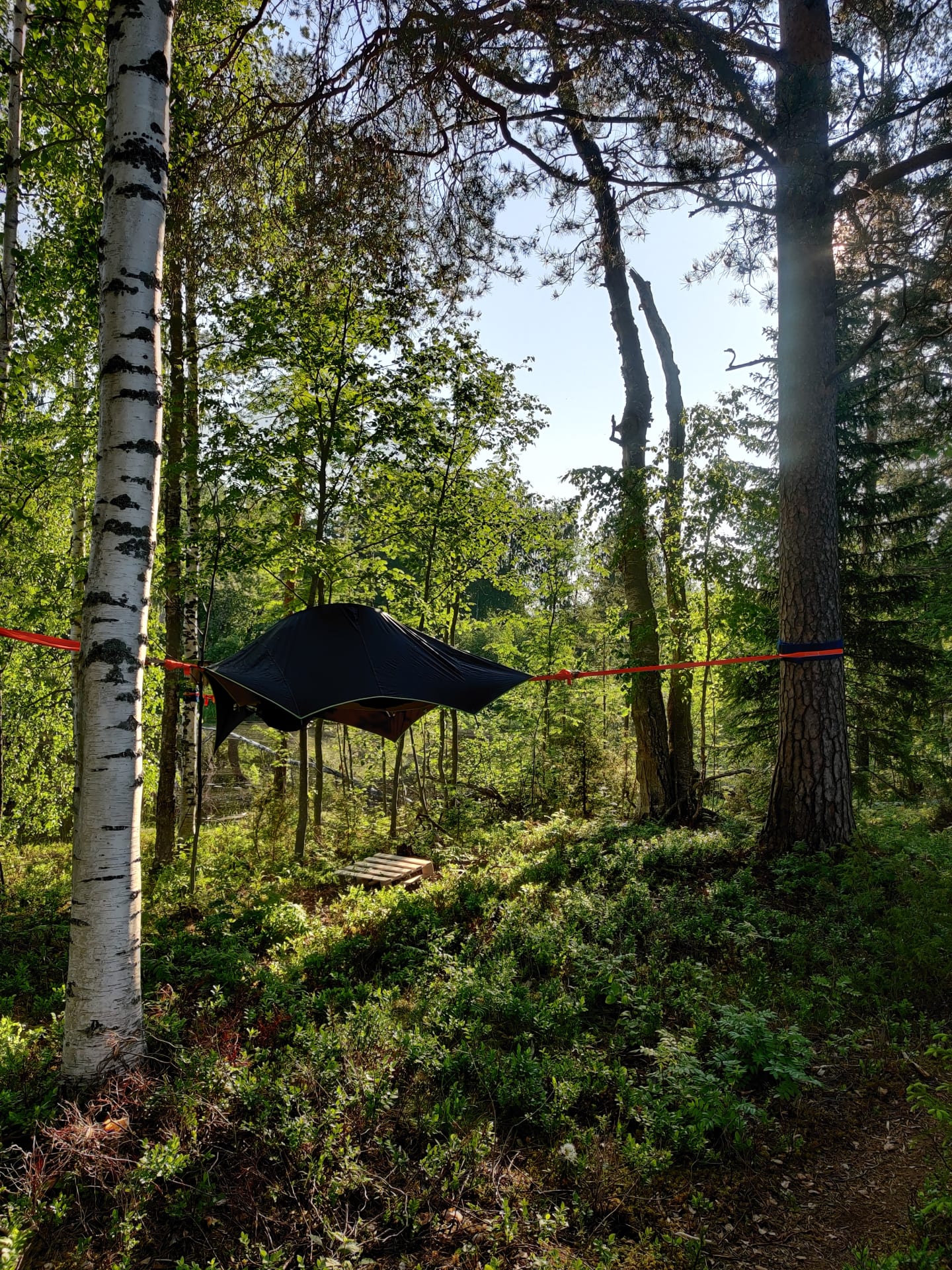 Sleep in a Tentsile
