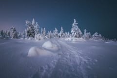 Lumikenkäily iltahämärässä