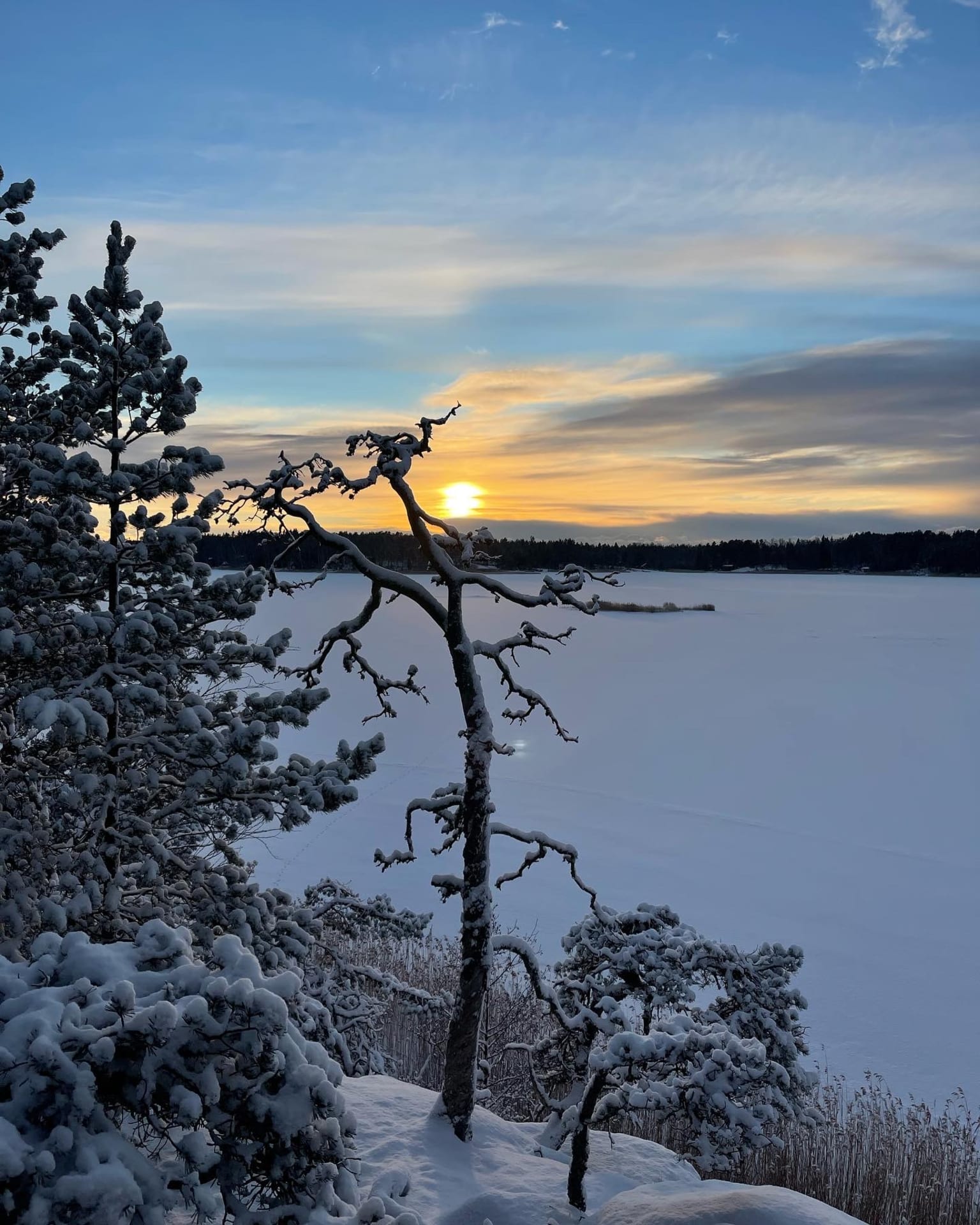 Upeat saaristolaismaisemat